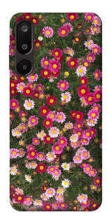 Чехол на Samsung Galaxy M16 5G Flowers v8 фото 1 из 1