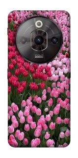 Чохол на ZTE Nubia Focus Pro Flowers v9 фото 1 з 1