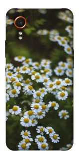 Чехол на Samsung Galaxy Xcover7 Ромашки v13 фото 1 из 1