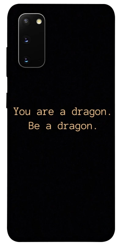 Чехол на Samsung Galaxy S20 House of the Dragon ver.9 фото 1 из 1