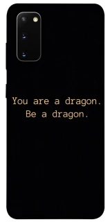 Чехол на Samsung Galaxy S20 House of the Dragon ver.9 фото 1 из 1
