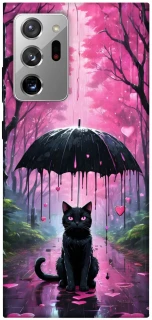 Чохол на Samsung Galaxy Note 20 Ultra Black cat фото 1 з 1