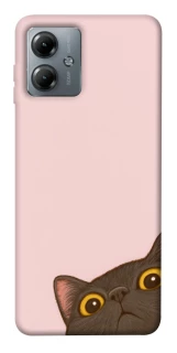 Чехол на Motorola Moto G14 Peeping cat фото 1 из 1