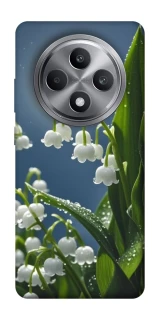 Чохол на Oppo Reno 12 F 4G Flowers v25 фото 1 з 1
