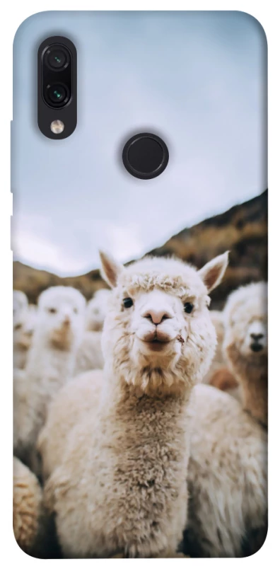 Чохол на Xiaomi Redmi Note 7 / Note 7 Pro / Note 7s Лама фото 1 з 1