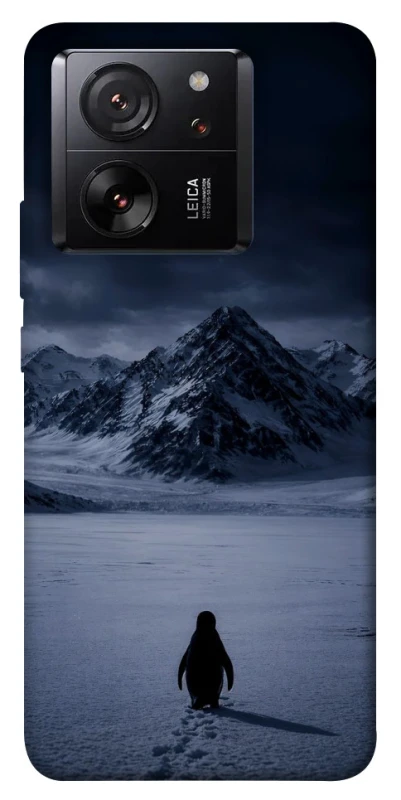 Чехол на Xiaomi 13T Pro But why? фото 1 из 1