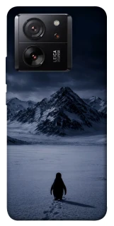 Чехол на Xiaomi 13T Pro But why? фото 1 из 1