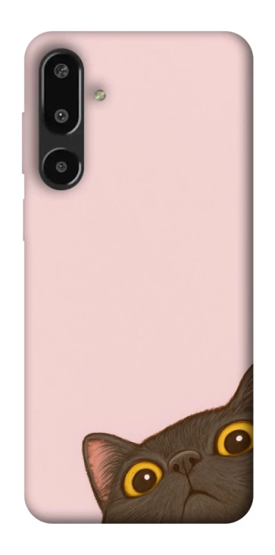 Чехол на Samsung Galaxy F16 Peeping cat фото 1 Чехол на Samsung Galaxy F16 Peeping cat фото 1 из 1