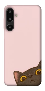 Чехол на Samsung Galaxy F16 Peeping cat фото 1 Чехол на Samsung Galaxy F16 Peeping cat фото 1 из 1