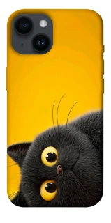 Чохол на Apple iPhone 14 (6.1") This is Cat фото 1 з 1