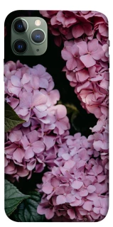 Чохол на Apple iPhone 11 Pro Max (6.5") Рожеві гартензії фото 1 з 1