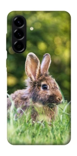 Чехол на Samsung Galaxy A57 5G Кролики фото 1 из 1