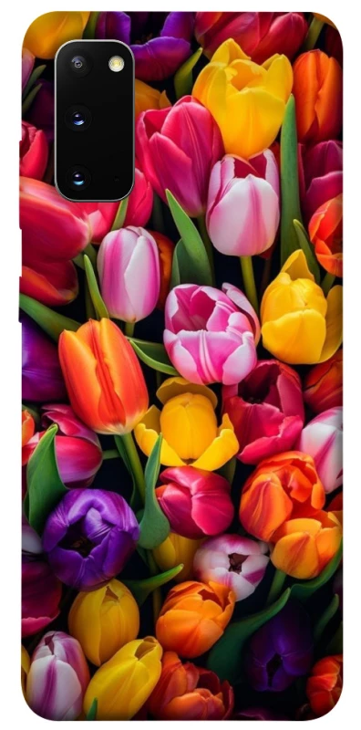 Чохол на Samsung Galaxy S20 Flowers v30 фото 1 з 1