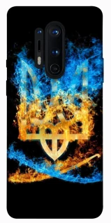 Чехол на OnePlus 8 Pro Герб v16 фото 1 из 1