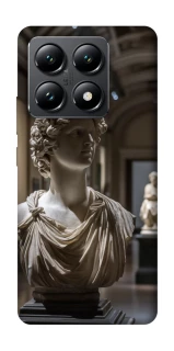 Чехол на Xiaomi 14T statue фото 1 из 1