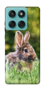 Чехол на Motorola Edge 60 Fusion Кролики фото 1 из 1