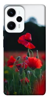 Чехол на Xiaomi Poco F5 / Note 12 Turbo Мак фото 1 из 1