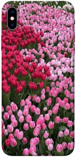 Чехол на Apple iPhone XS Max (6.5") Flowers v9 фото 1 из 1