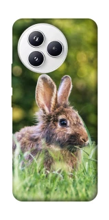 Чехол на Xiaomi Civi 5 Pro Кролики фото 1 из 1