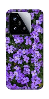 Чохол на Xiaomi 15 Flowers v17 фото 1 з 1