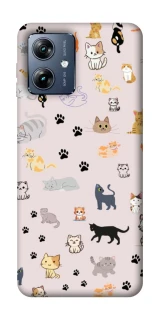 Чохол на Motorola Moto G54 Power Cat style ver.1 фото 1 з 1