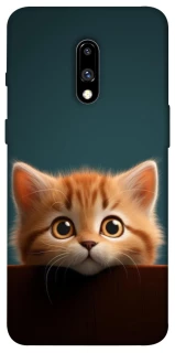 Чохол на OnePlus 7 Чохол Кошеня фото 1 з 1