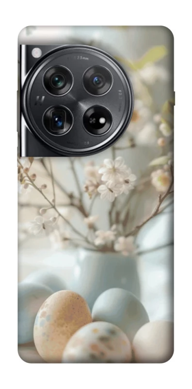 Чохол на OnePlus 12 SpringJoy фото 1 з 1