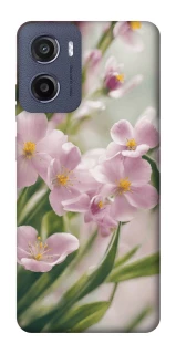 Чохол на Motorola Moto G05 Spring фото 1 з 1