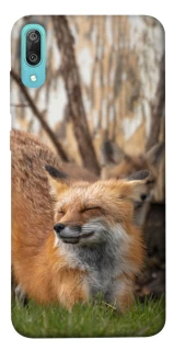 Чехол на Huawei Y6 Pro (2019) Лиса фото 1 из 1