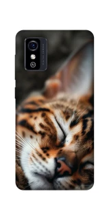 Чехол на ZTE Blade L9 Cat paws фото 1 из 1