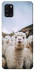 Чехол на Samsung Galaxy A31 Лама фото 1 из 1