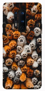 Чохол на OnePlus 8 Pro Сat paws фото 1 з 1