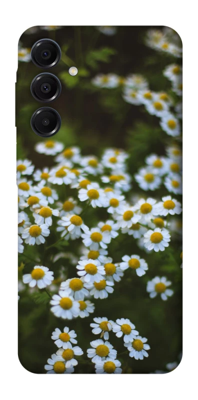 Чехол на Samsung Galaxy A16 4G/5G Ромашки v13 фото 1 из 1