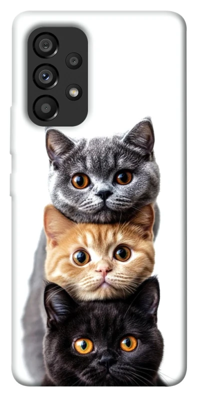 Чохол на Samsung Galaxy A53 5G Гарні котики фото 1 з 1