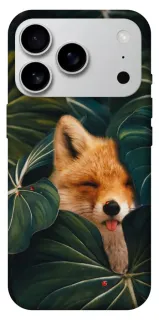 Чохол на Apple iPhone 18 Pro Max Fox фото 1 з 1