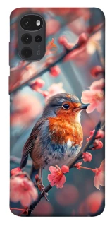 Чохол на Motorola Moto G22 Birdie фото 1 з 1