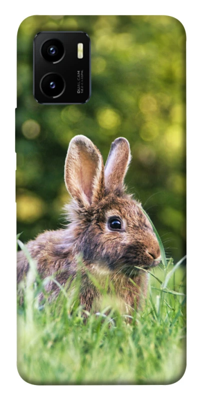 Чехол на Vivo Y15s Кролики фото 1 из 1