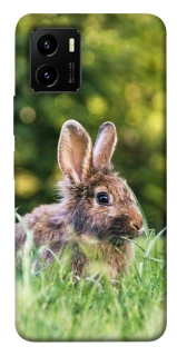 Чехол на Vivo Y15s Кролики фото 1 из 1