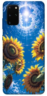 Чехол на Samsung Galaxy S20+ Sunflowers фото 1 из 1