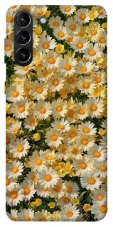 Чохол на Samsung Galaxy S21+ Camomile фото 1 з 1