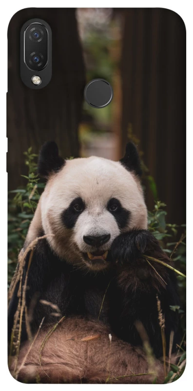 Чехол на Huawei P Smart+ (nova 3i) Панда фото 1 из 1