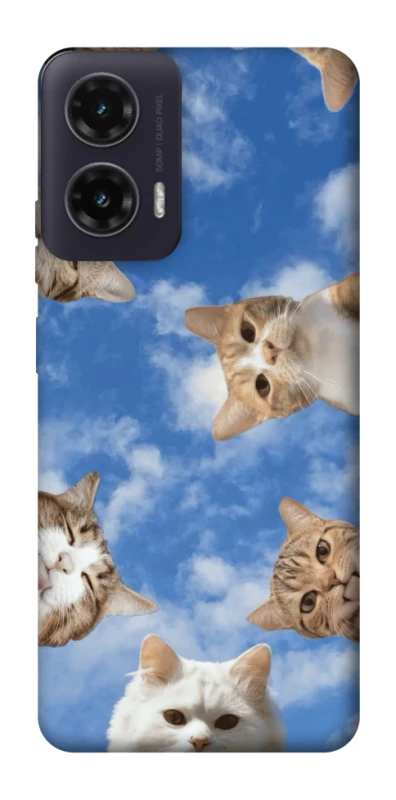 Чохол на Motorola Moto G35 Сats фото 1 з 1