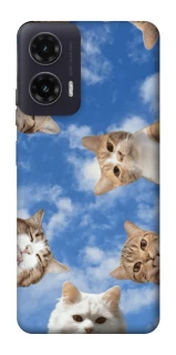 Чохол на Motorola Moto G35 Сats фото 1 з 1