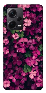 Чохол на Xiaomi Redmi Note 12 Pro+ 5G Flowers v7 фото 1 з 1