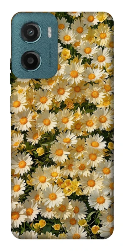 Чохол на Motorola Moto G06 Camomile фото 1 з 1