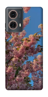 Чехол на Motorola Moto G85 Flowers v4 фото 1 из 1
