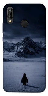 Чехол на Huawei P20 Lite But why? фото 1 из 1