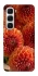 Чохол на Infinix Hot 60i Flower1 фото 1 з 1