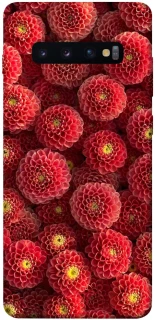 Чохол на Samsung Galaxy S10+ Midnight1 фото 1 з 1