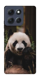 Чехол на Motorola Moto G86 Power Панда фото 1 из 1